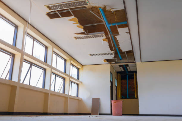 Best 24-hour water damage restoration  in Wichita Falls, TX