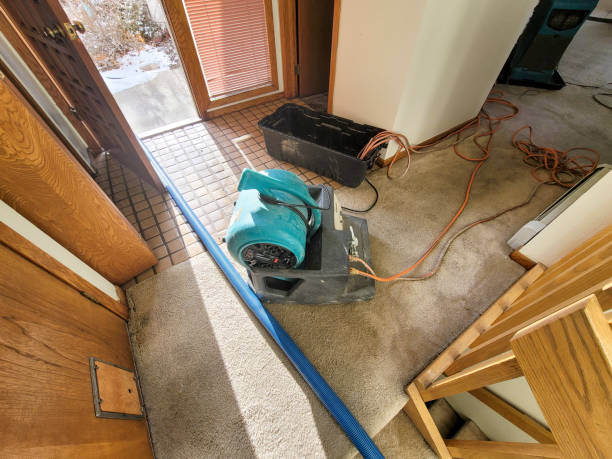 Best Carpet water damage restoration  in Wichita Falls, TX