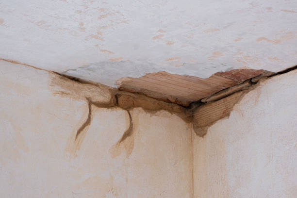 Best 24/7 water damage repair  in Wichita Falls, TX