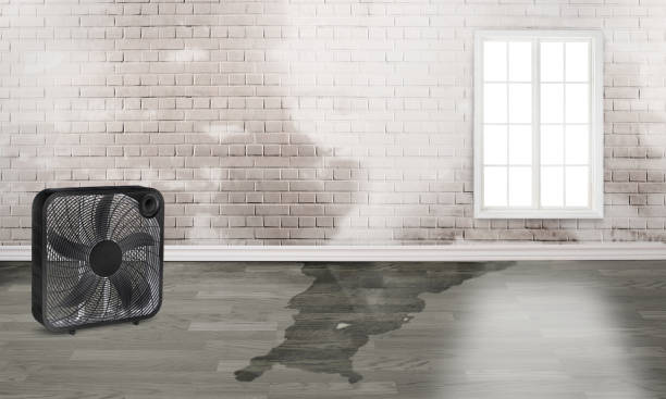 Best Emergency water damage restoration  in Wichita Falls, TX