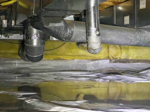 Best Water damage contractors near me  in Wichita Falls, TX