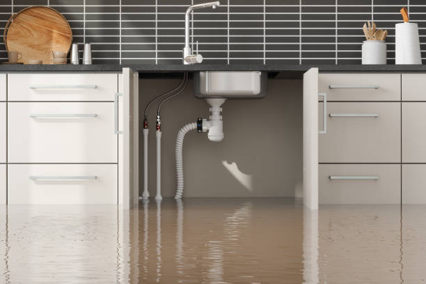 Best Water damage cleanup near me  in Wichita Falls, TX