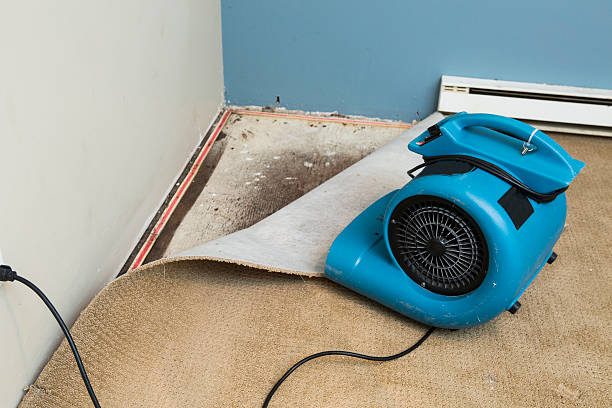 Best Water damage restoration near me  in Wichita Falls, TX